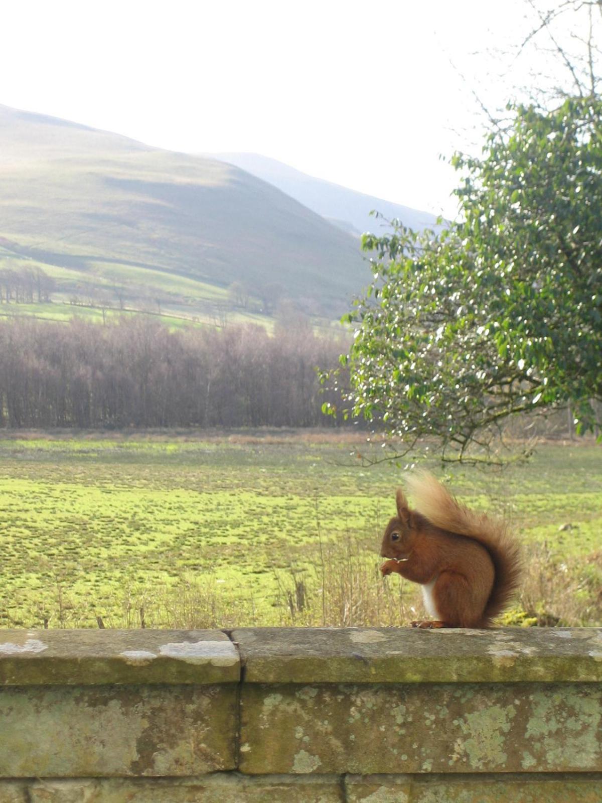 Overwater Hall Bassenthwaite Εξωτερικό φωτογραφία